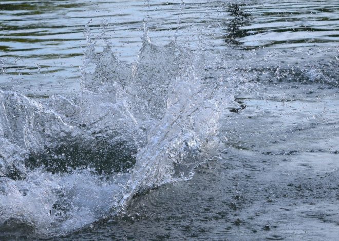 Il realismo nell’audio: un’esperienza immersiva